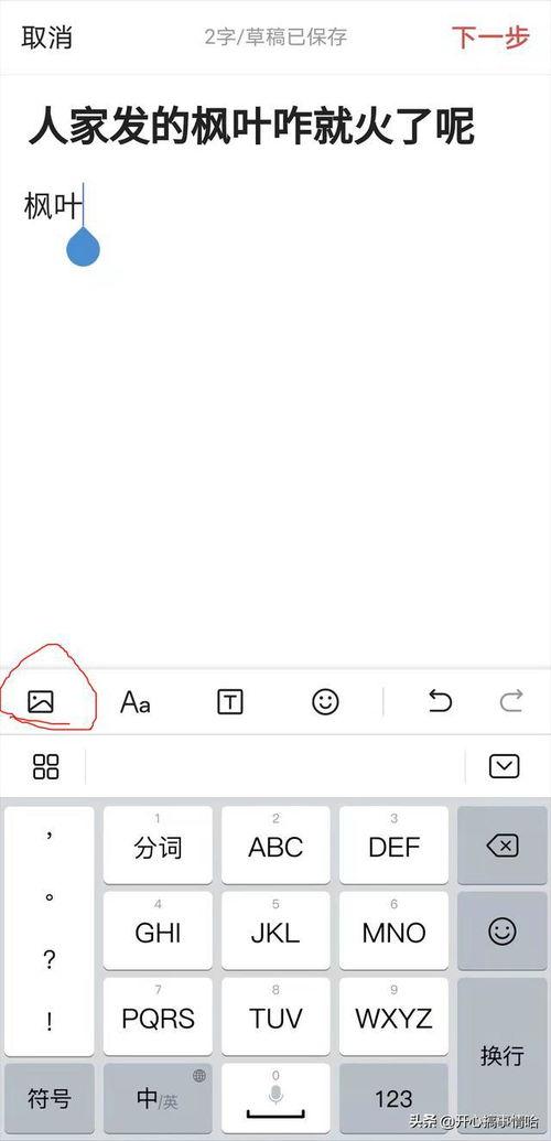怎么查看发送的微头条,揭秘如何查看已发送的微头条